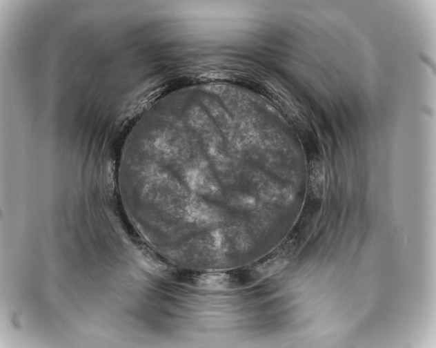 X0000095880410200802011048