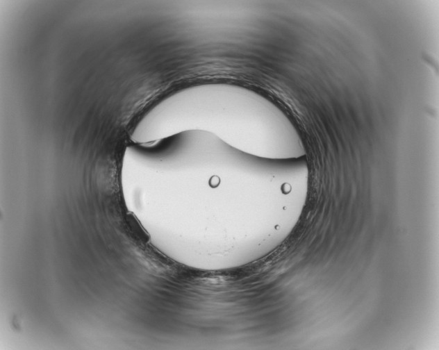 X0000095880411200802011048