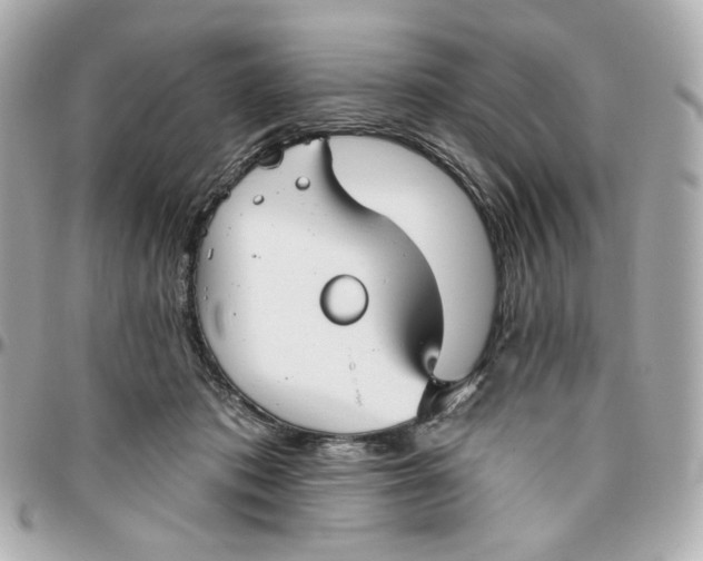 X0000095880413200802011048