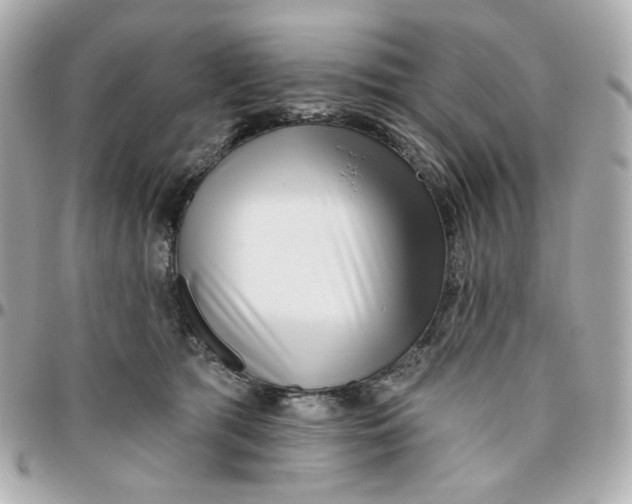 X0000095880417200802011048