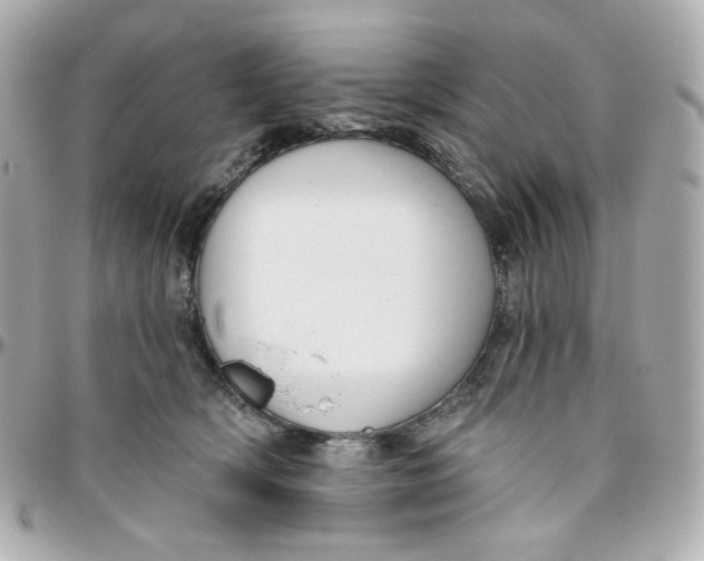 X0000095880418200802011048