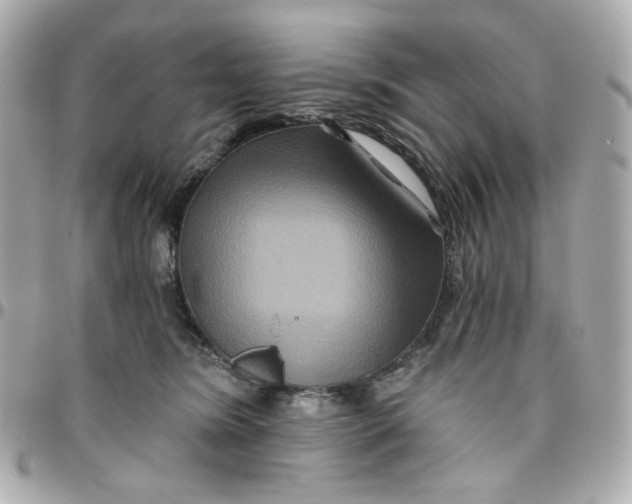 X0000095880420200802011048