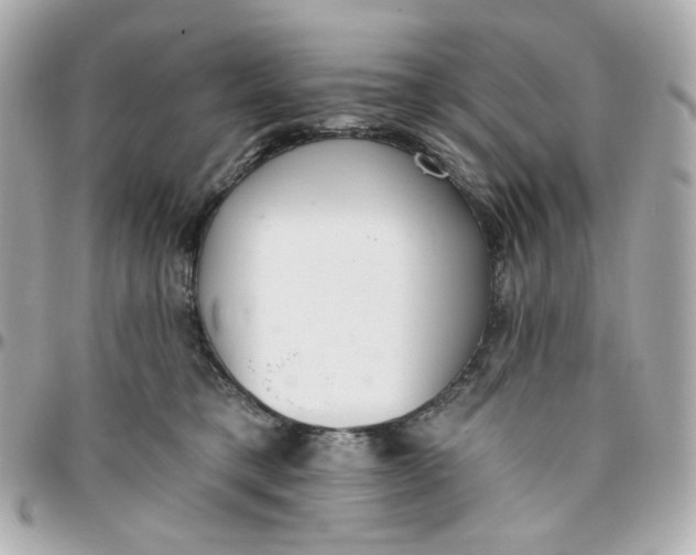 X0000095880421200802011048