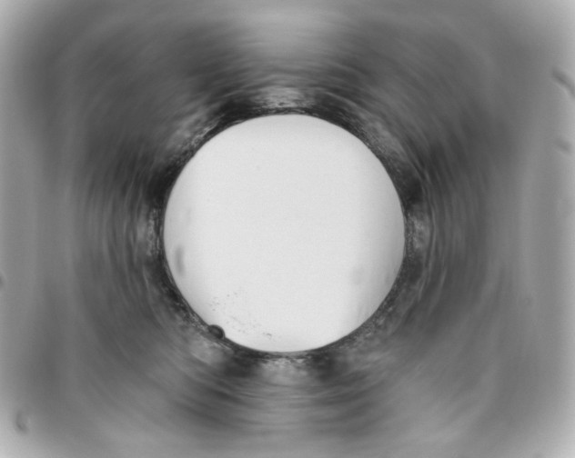 X0000095880422200802011048