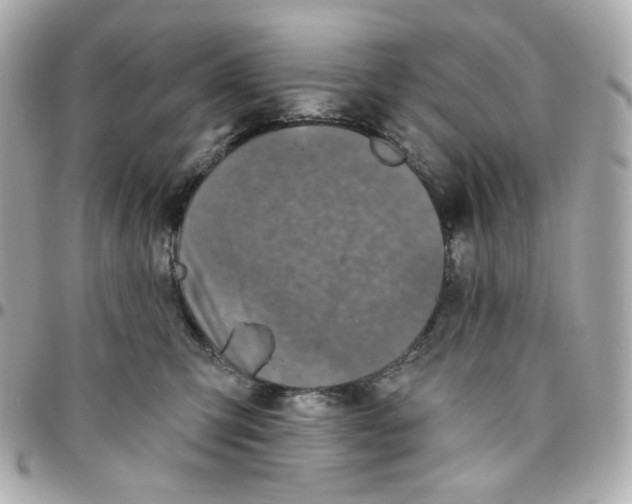 X0000095880423200802011048