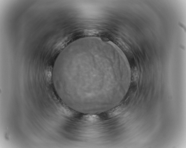 X0000095880427200802011048