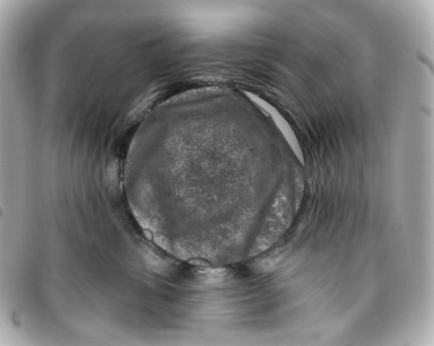 X0000095880428200802011048