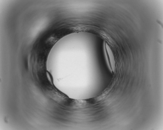 X0000095880429200802011048