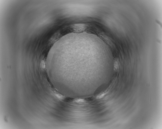 X0000095880431200802011048