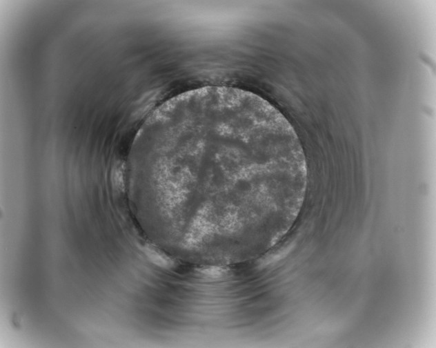 X0000095880432200802011048