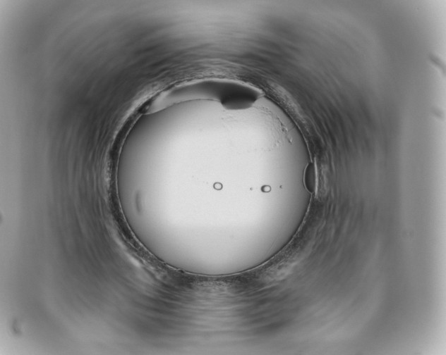 X0000095880435200802011047