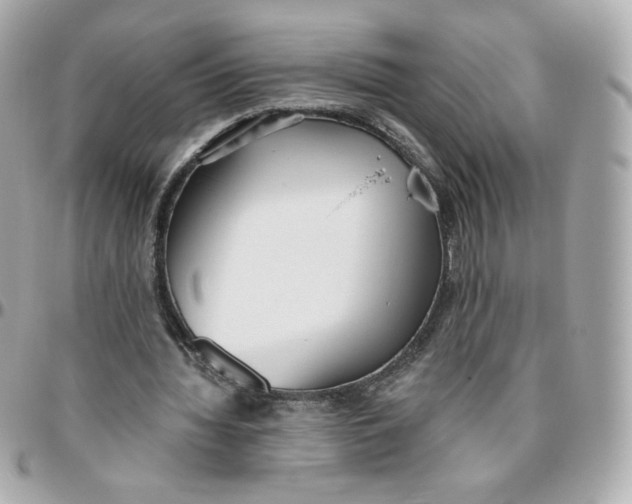 X0000095880436200802011047