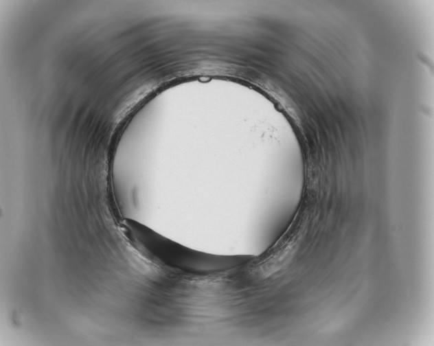 X0000095880437200802011047