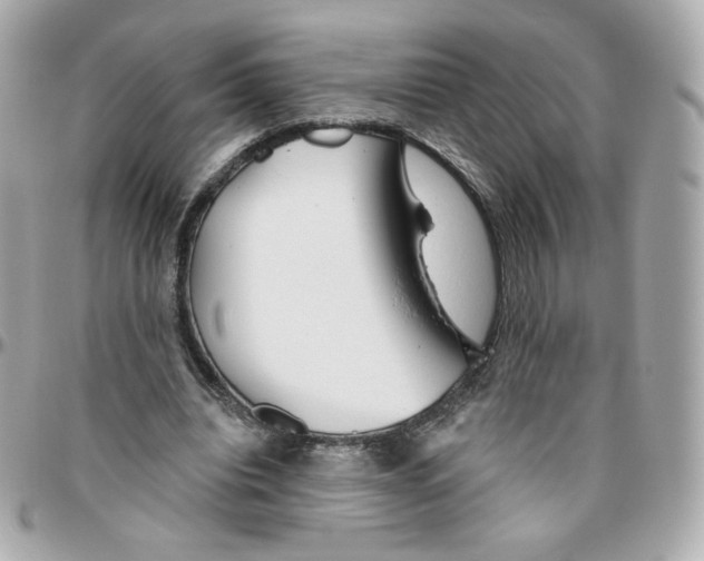 X0000095880440200802011047