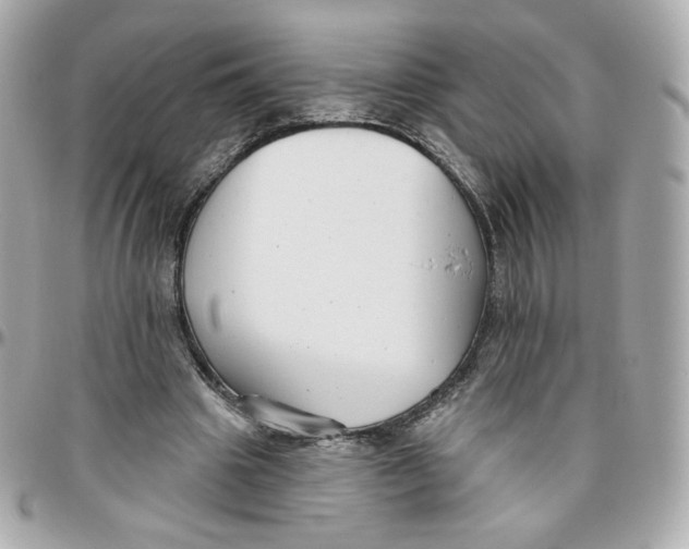 X0000095880441200802011047