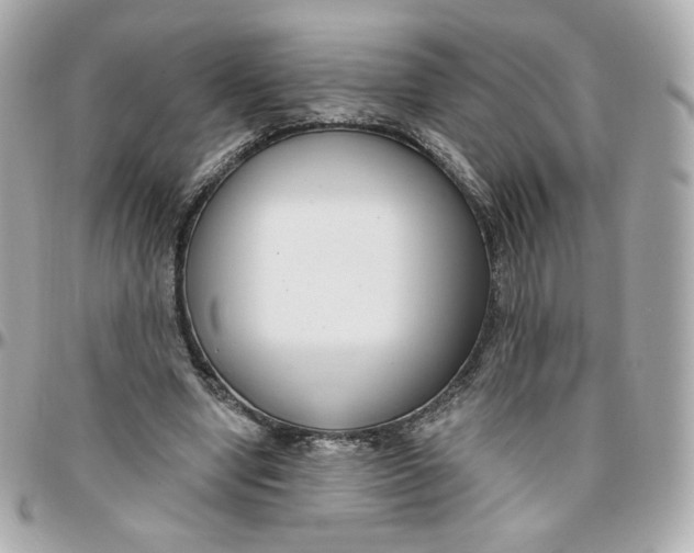 X0000095880442200802011048