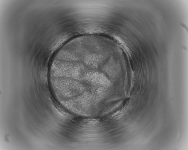 X0000095880443200802011048