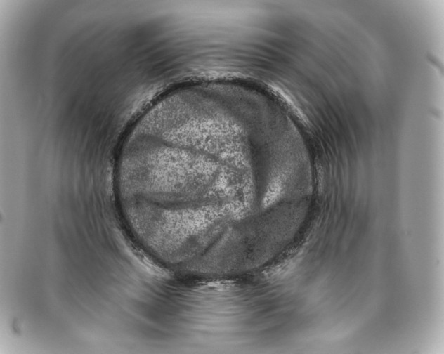 X0000095880447200802011048