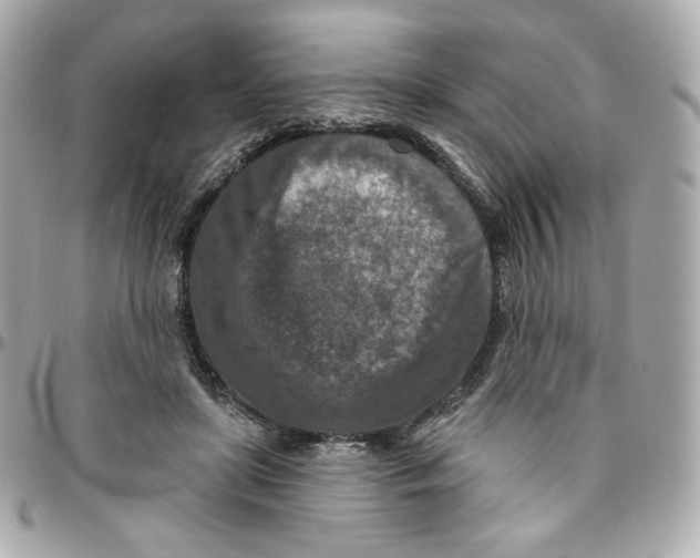 X0000095880451200802011048