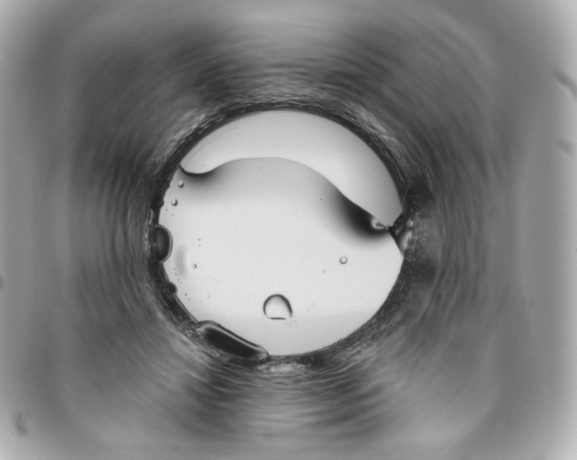 X0000095880452200802011048