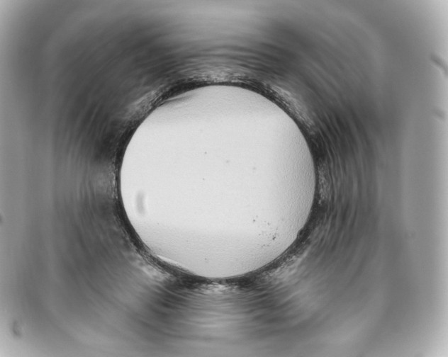 X0000095880453200802011048