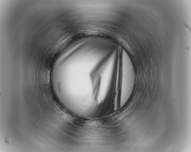 X0000095880454200802011048