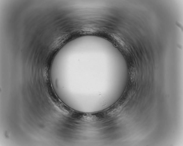 X0000095880455200802011048