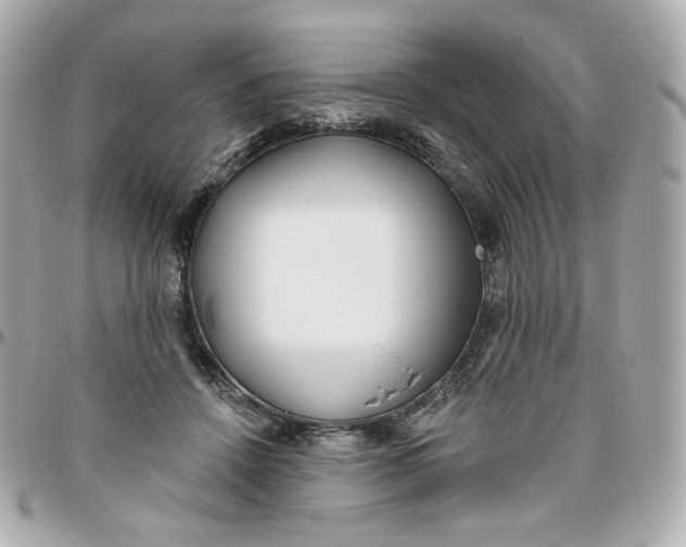 X0000095880456200802011048