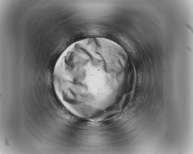 X0000095880457200802011048