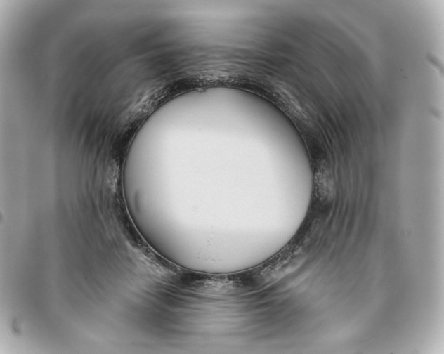 X0000095880458200802011048