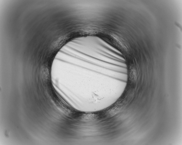 X0000095880459200802011048