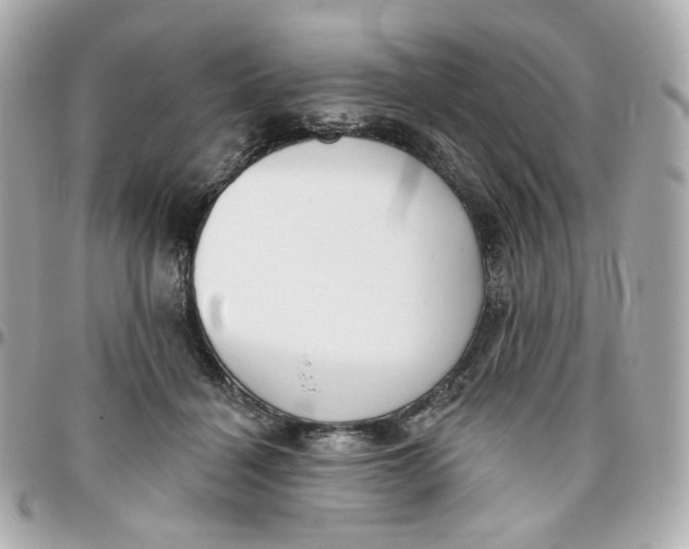 X0000095880460200802011048