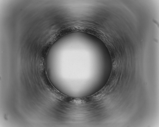 X0000095880464200802011048