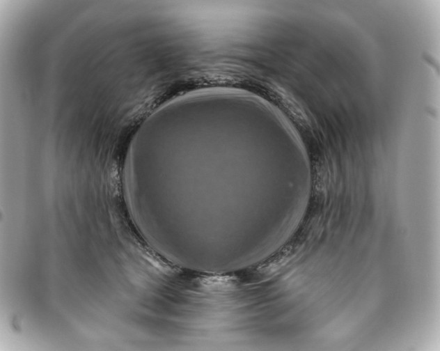 X0000095880465200802011048