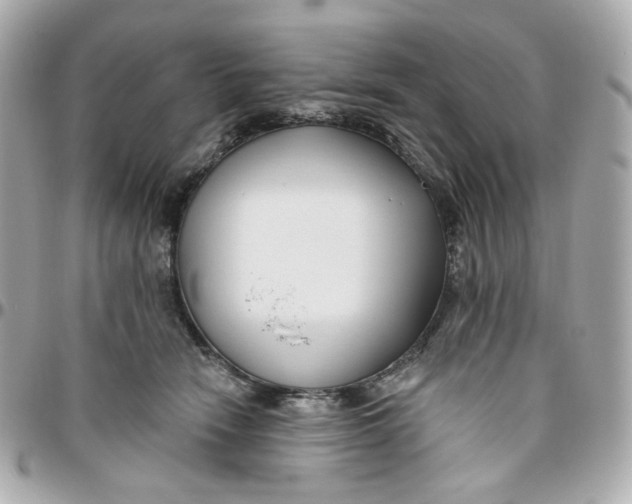 X0000095880466200802011048