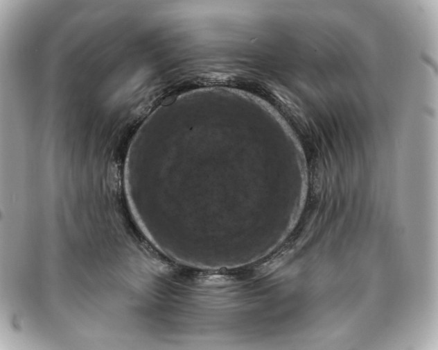 X0000095880467200802011048