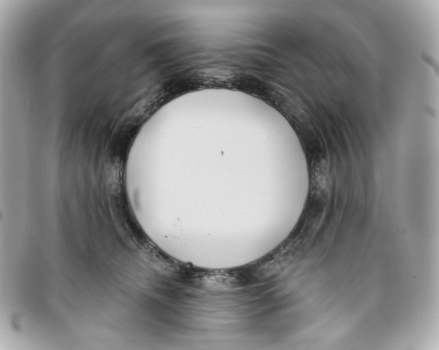 X0000095880468200802011048