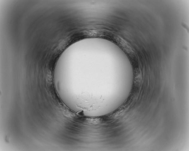 X0000095880469200802011048