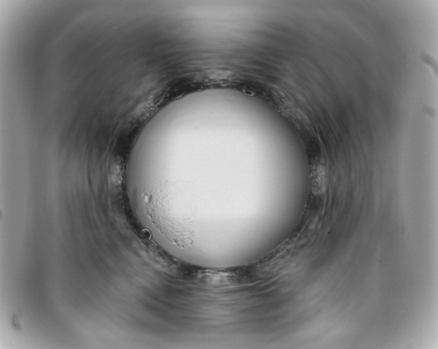 X0000095880472200802011048