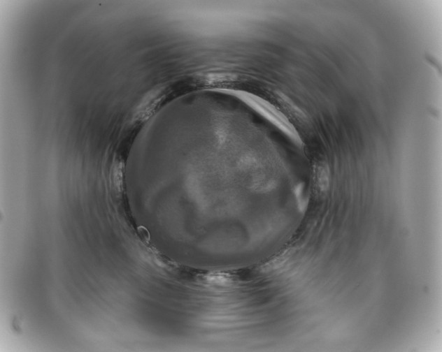 X0000095880475200802011048