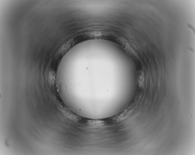 X0000095880476200802011048