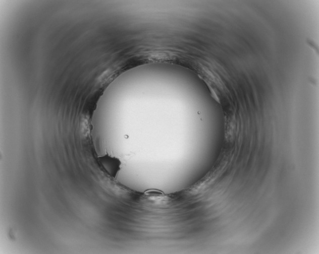 X0000095880478200802011048