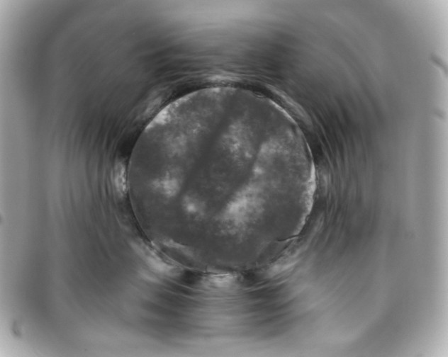 X0000095880479200802011048