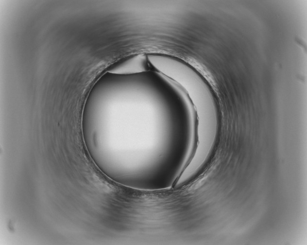 X0000095880481200802011047