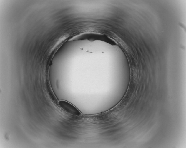 X0000095880482200802011047