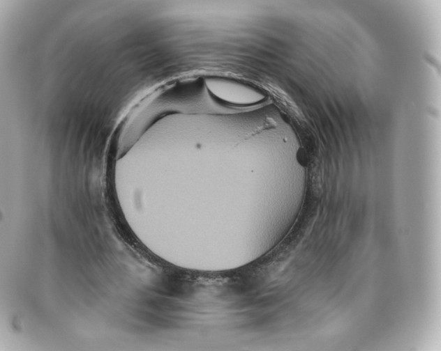 X0000095880484200802011047