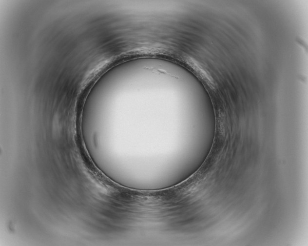 X0000095880486200802011047