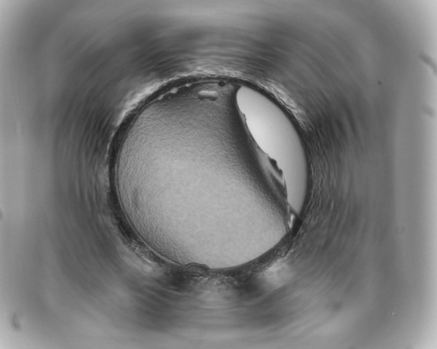 X0000095880488200802011047