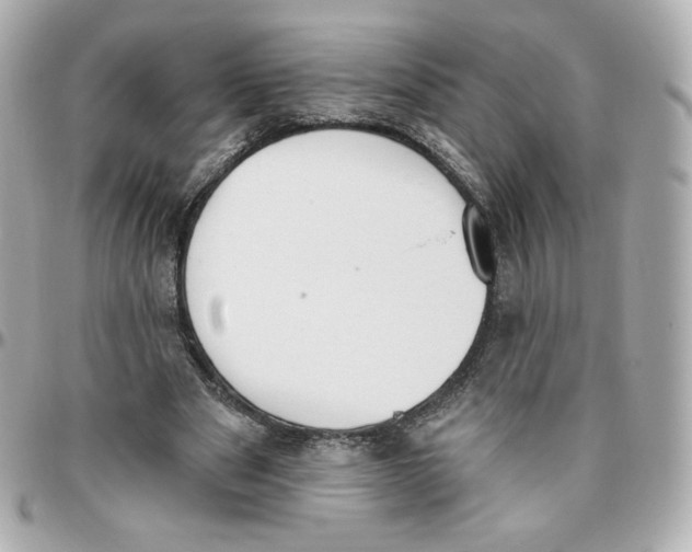 X0000095880489200802011047