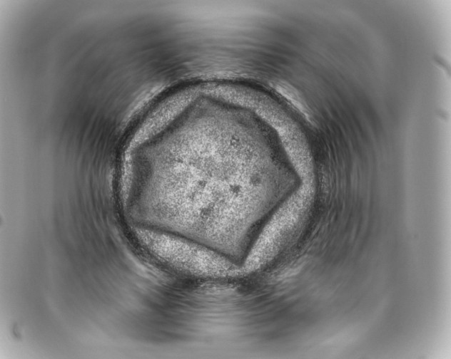 X0000095880491200802011047